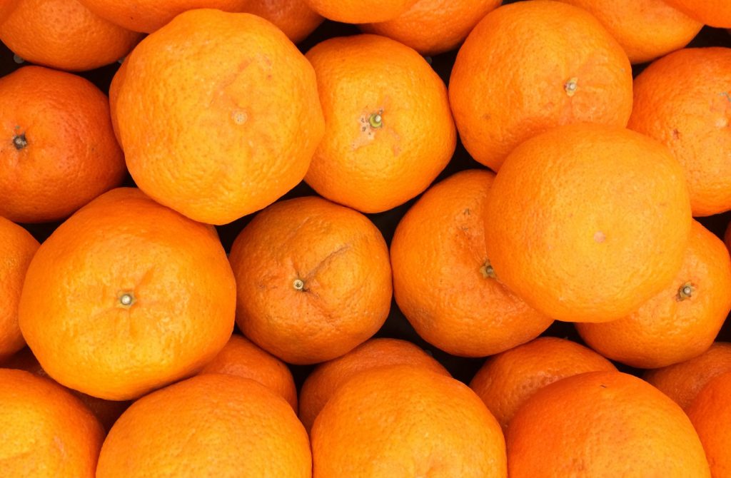 stiven-bravo-z0qltBaghg4-unsplash